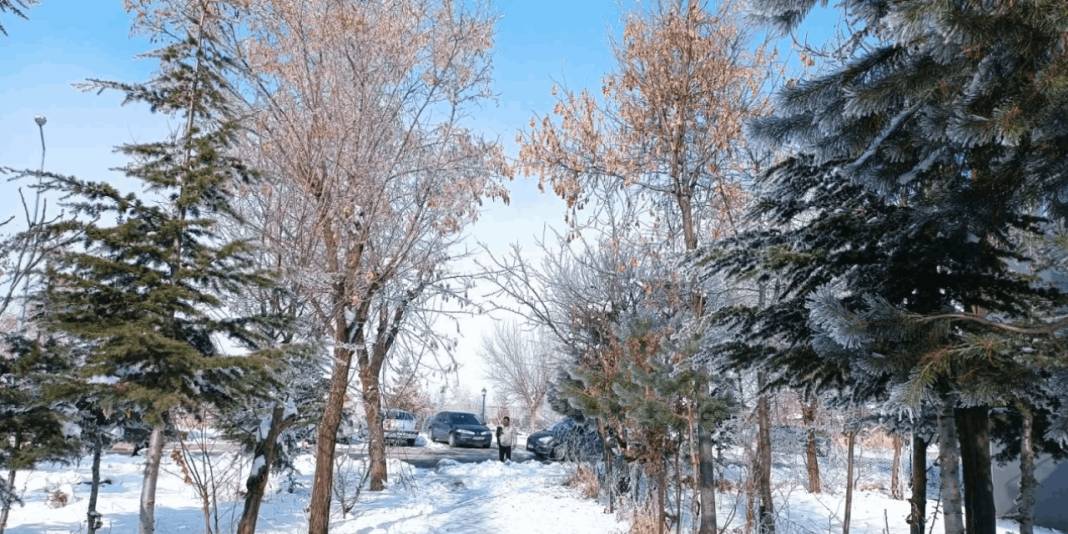 Bitlis’te dondurucu soğuk etkili oluyor: Hava sıcaklığı eksi 13,8 dereceyi gördü 7